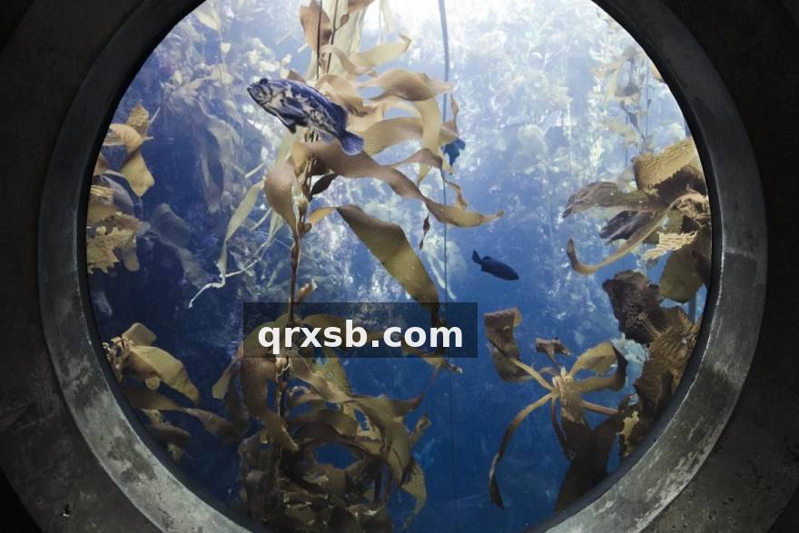 V体育网球硬地赛季击球落点专题配图